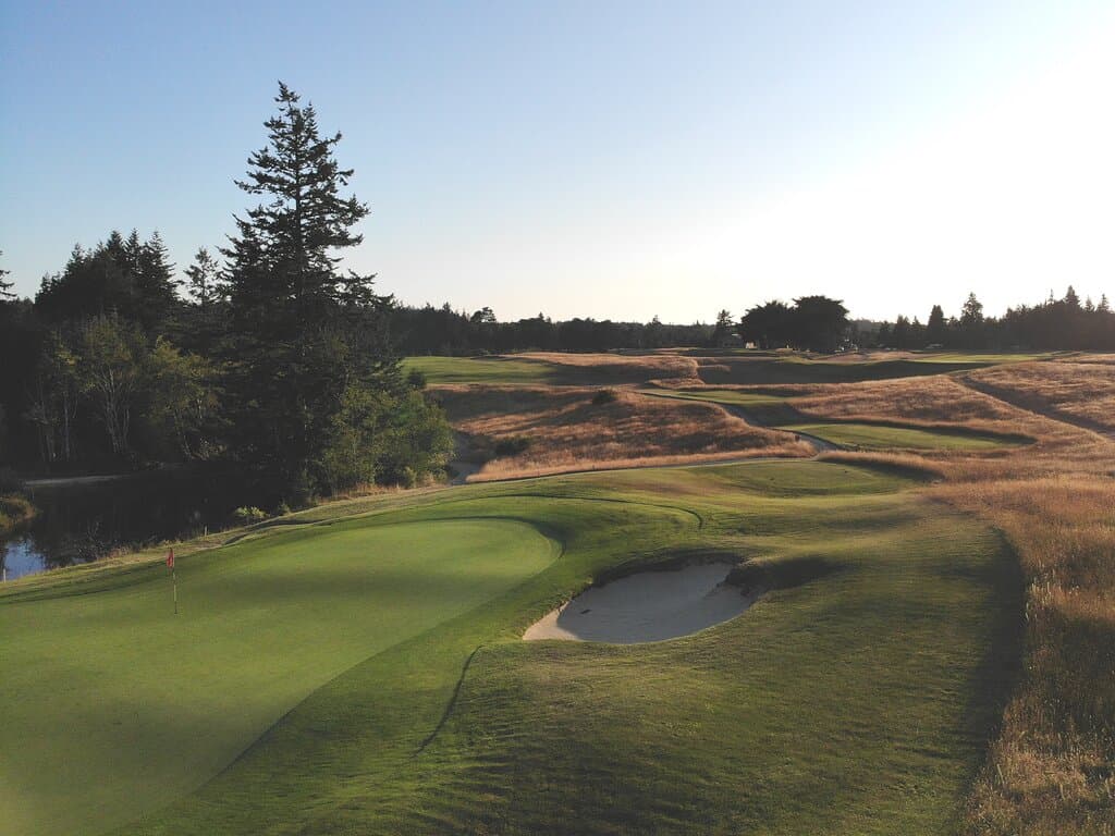 Summertime view of the par 3 number 17 green with 18 tees and fairway beyond