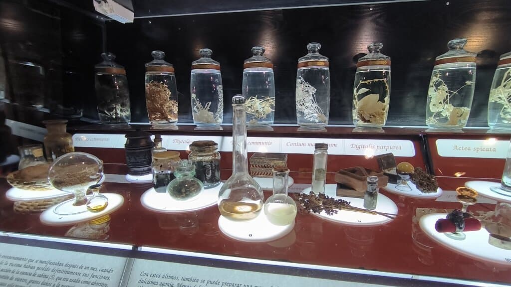 Visit the National Museum of Witchcraft