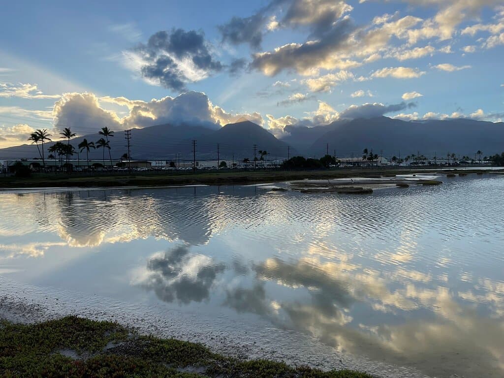 Kanaha Pond State Wildlife Sanctuary Maui