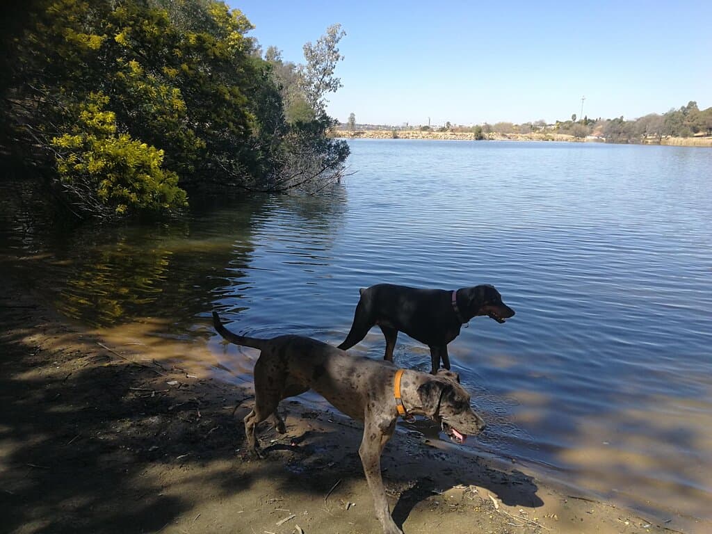The dam at Golden Harvest - Fishing is available if you have a valid fishing license 