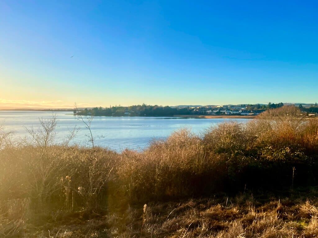 Riverside Nature Park