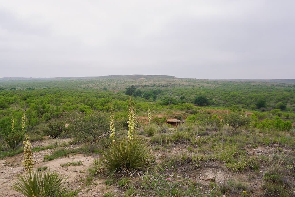 View from Upper Bluff trail