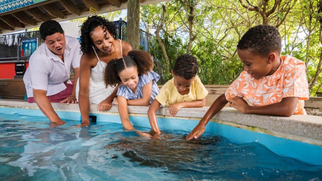 Interact with stingrays and local invertebrate species, attend programs that teach about local gamefish, sharks, and sea turtles, and explore the Ocean EcoCenter that includes interactive exhibits and aquariums.