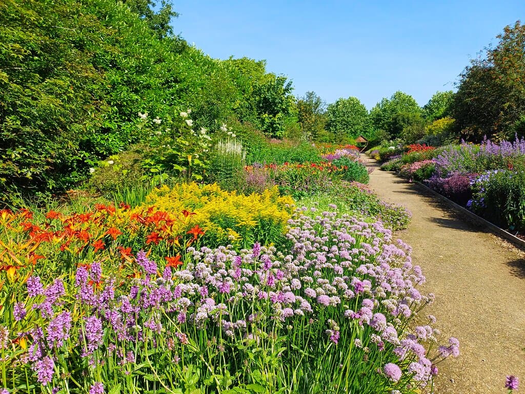 The Double Border 