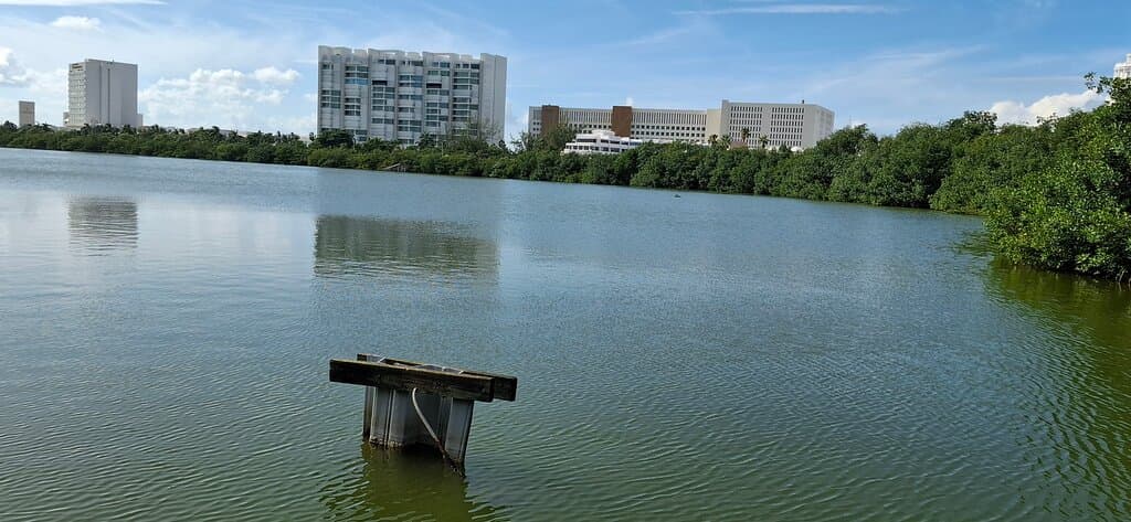 Another view of the Lagoon