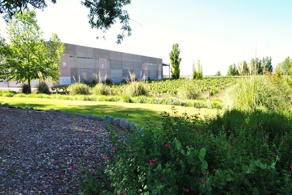 Bodega Huarpe Riglos Family Wines