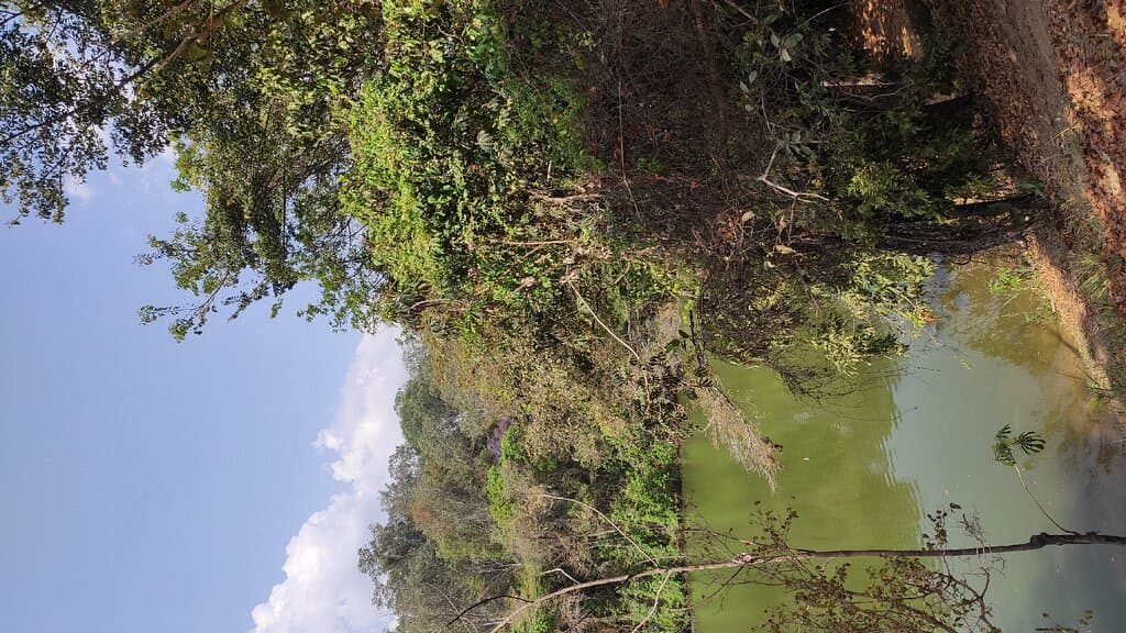 Parque Lagoa do Nado