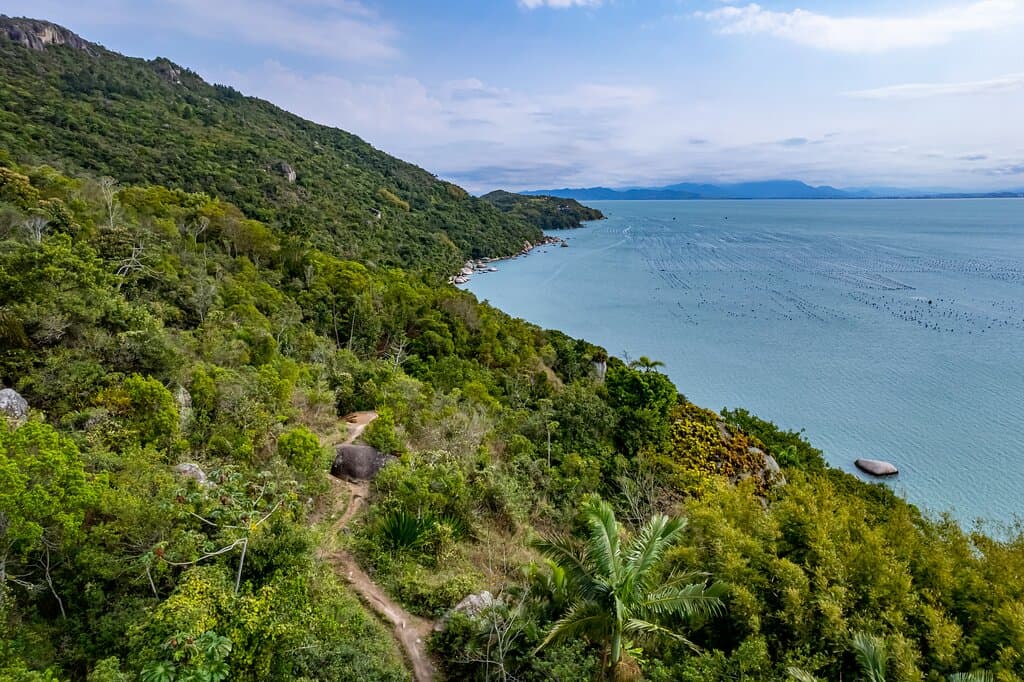 A Trilha da Tainha inicia no Pórtico de Entrada do Morro do Macaco e o percurso de 2km termina na estrada de acesso à Praia da Tainha (Av. Tatuíra). Até a Praia da Tainha são mais 550m.