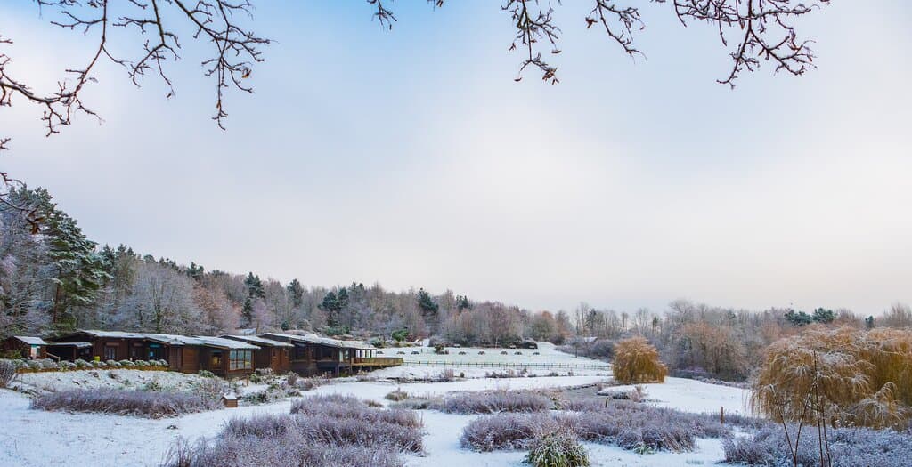 WWT Washington visitor centre building in snow winter weather