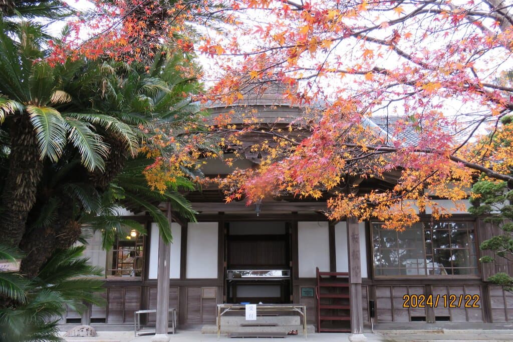 本居宣長記念館　景観一例　旧事務所　国登録有形文化財　2024年12月22日撮影