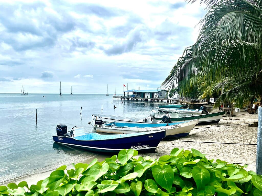 Placencia Municipal Pier The Point