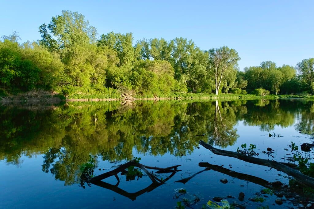 Late afternoon view along the Grand River