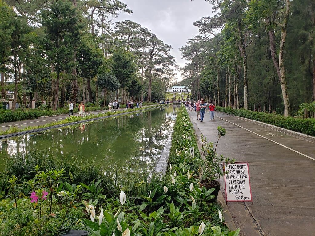 Pool of Pines (Reflection Pool)