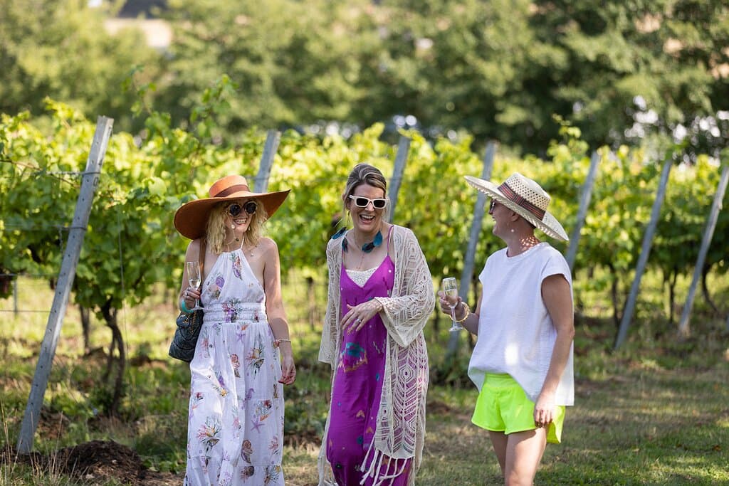 Saffron Grange is a family-run vineyard on the outskirts of Saffron Walden, producing premium quality English sparkling wines. Our land sits on the same chalk seam which runs from Northern France’s renowned wine regions, up through Sussex and into Essex. We are open all year round and now run both Winter Tours as well as Summer Tours. Please visit our website for details of our tour dates or to book a Try Flight Tasting in the shop/ Tasting Room.