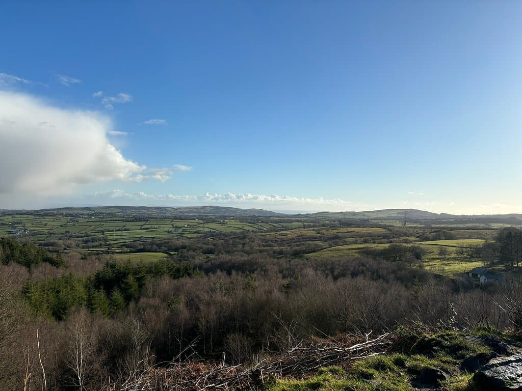 Coed Nercwys / Nercwys Forest