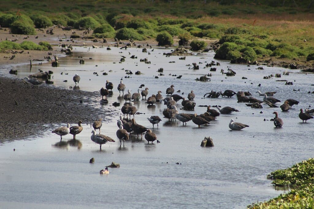 Tres Puentes Wetland