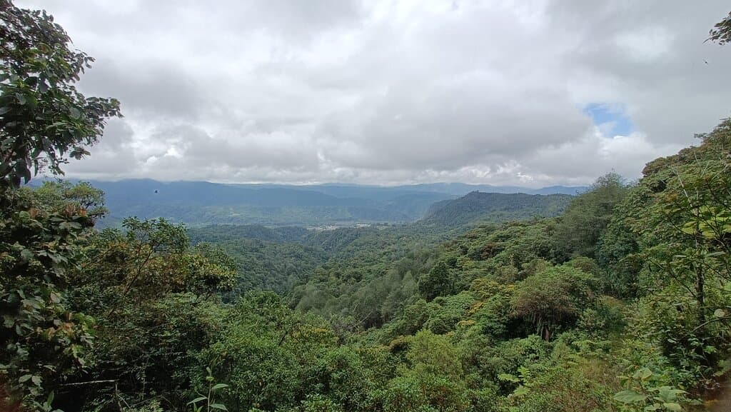 San Tadeo Birding Garden
