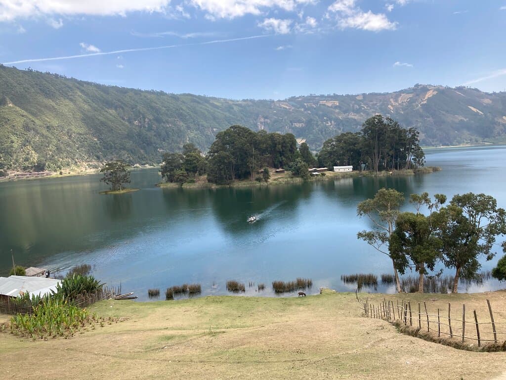 Menagesha Suba Forest Park