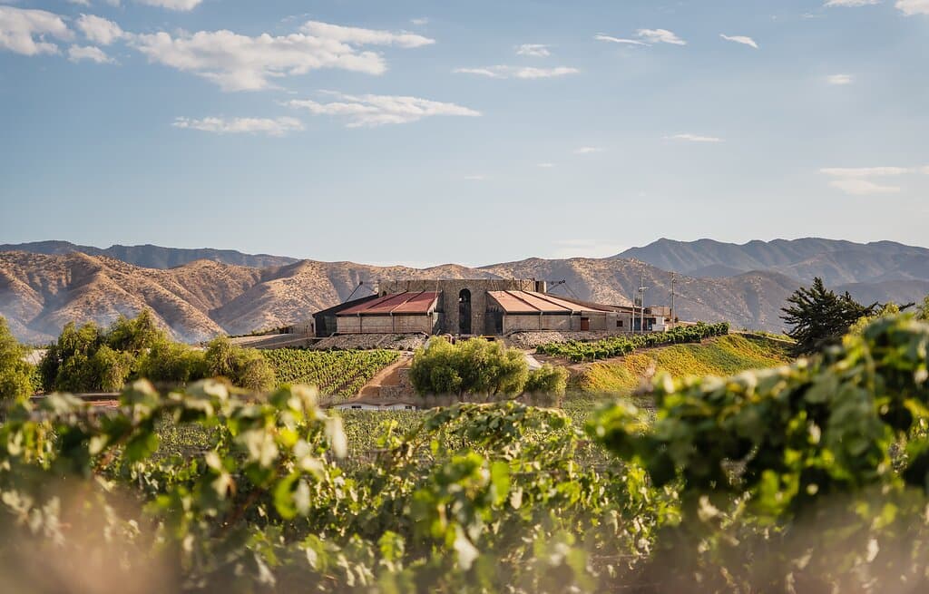 BODEGAS DE SANTO TOMAS - Ubicada en Carretera Valle de Santo Tomas S/N, 22880 Santo Tomás, B.C., antigua ruta del Vino