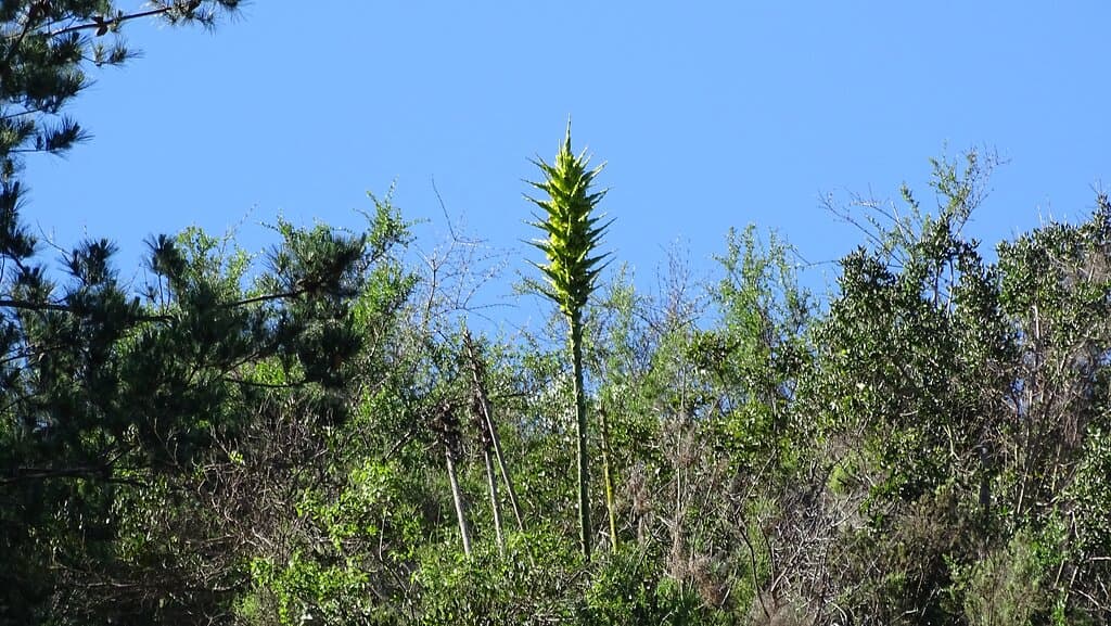 Parque Natural Gómez Carreño