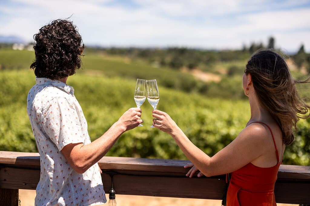 Gorgeous views of our Green Valley vineyards in Sonoma County. 