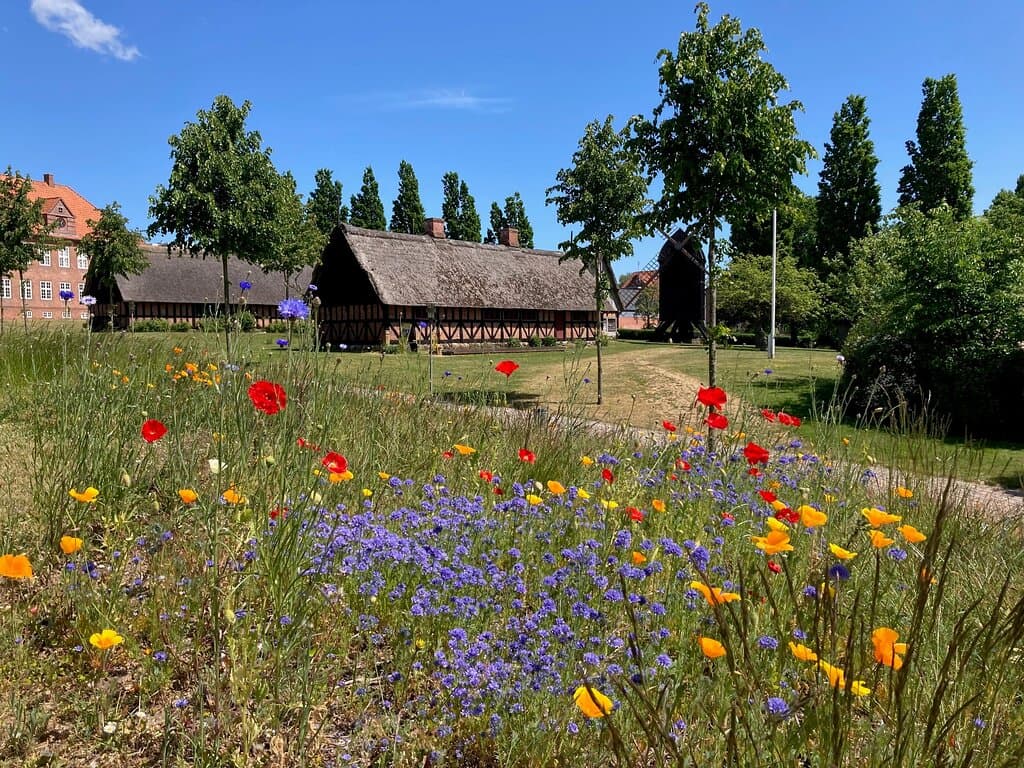 På Arkæologi Haderslev kan du opleve prægtige arkæologiske fund fra Sønderjyllands fortid. I frilandsmuseet kan du opleve historiske gårde og bygninger fra Sønderjylland, en sjælden stubmølle og oldtidsgrave.