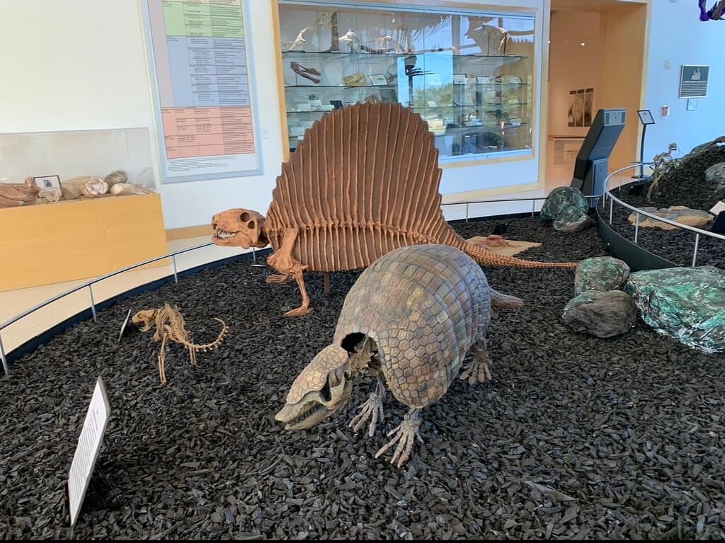 Mayer Museum Angelo State University