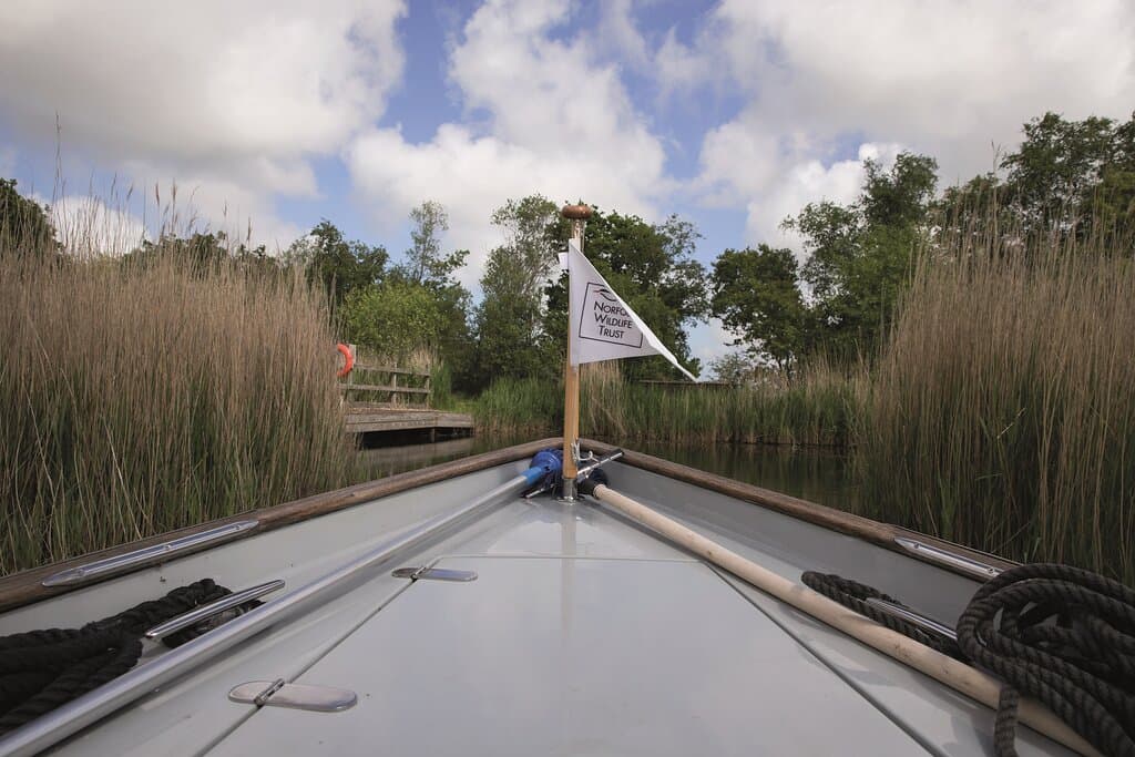 Hickling wildlife boat trip (credit: Jimmy King)
