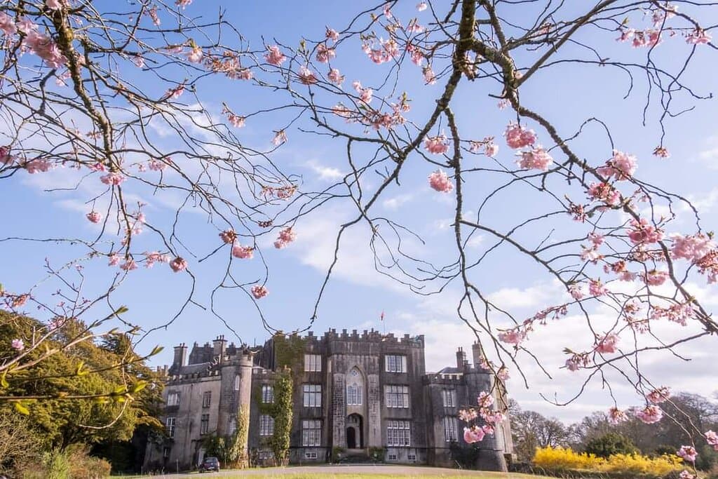 Birr Castle Demesne, located in County Offaly, Ireland, is a historic estate known for its stunning gardens, rich scientific heritage, and the Great Telescope built in the 1840s. The castle grounds also feature interactive science exhibits, making it a unique blend of natural beauty and innovation.