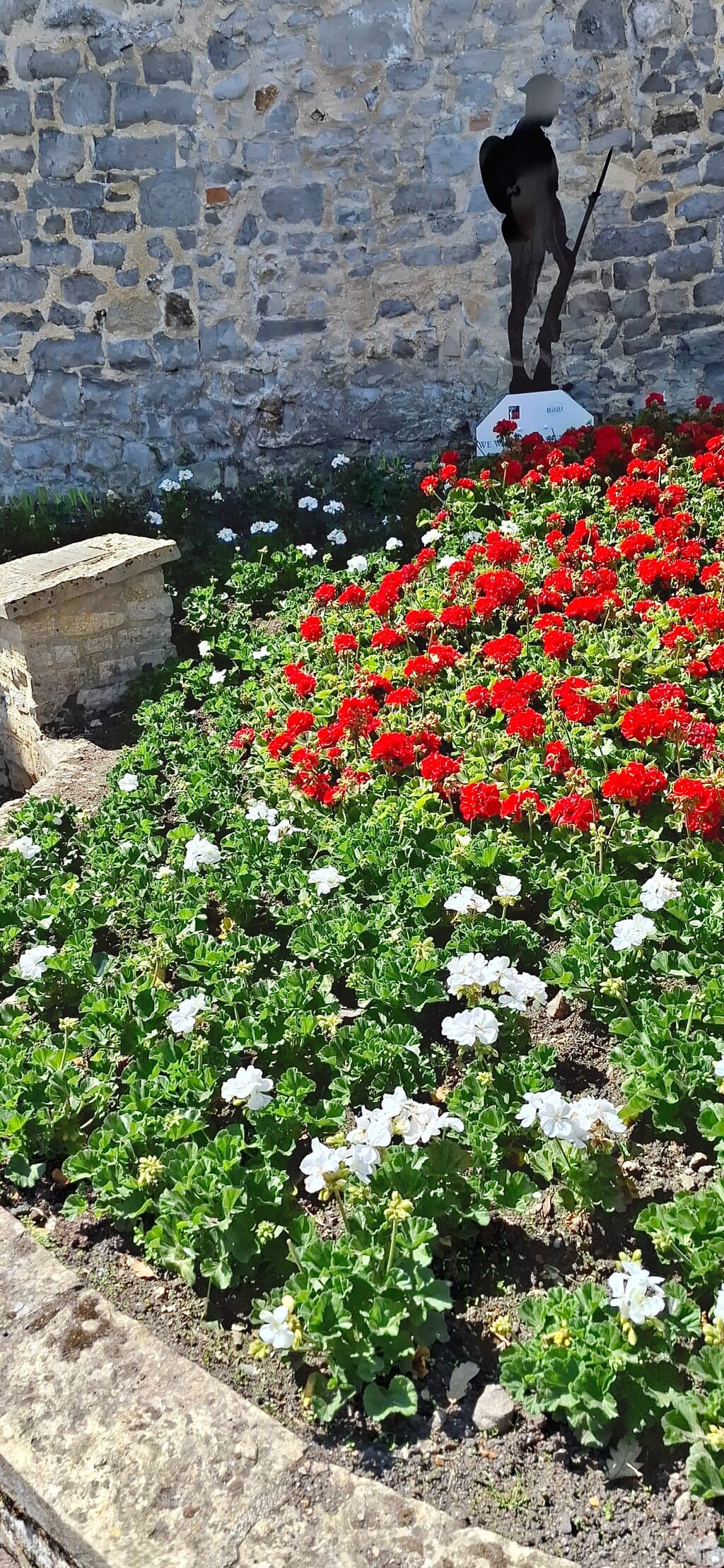 Colourful geraniums and soldier silhouette on the wall in the background