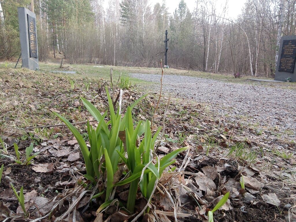 Это уникальный исторический памятник в Екатеринбурге. Это место более известно как Поросенков Лог / Мемориал Романовых.