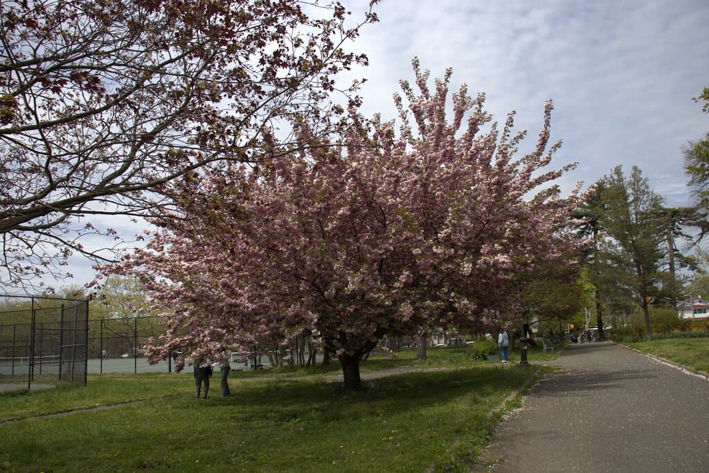 Kissena Velodrome Queens
