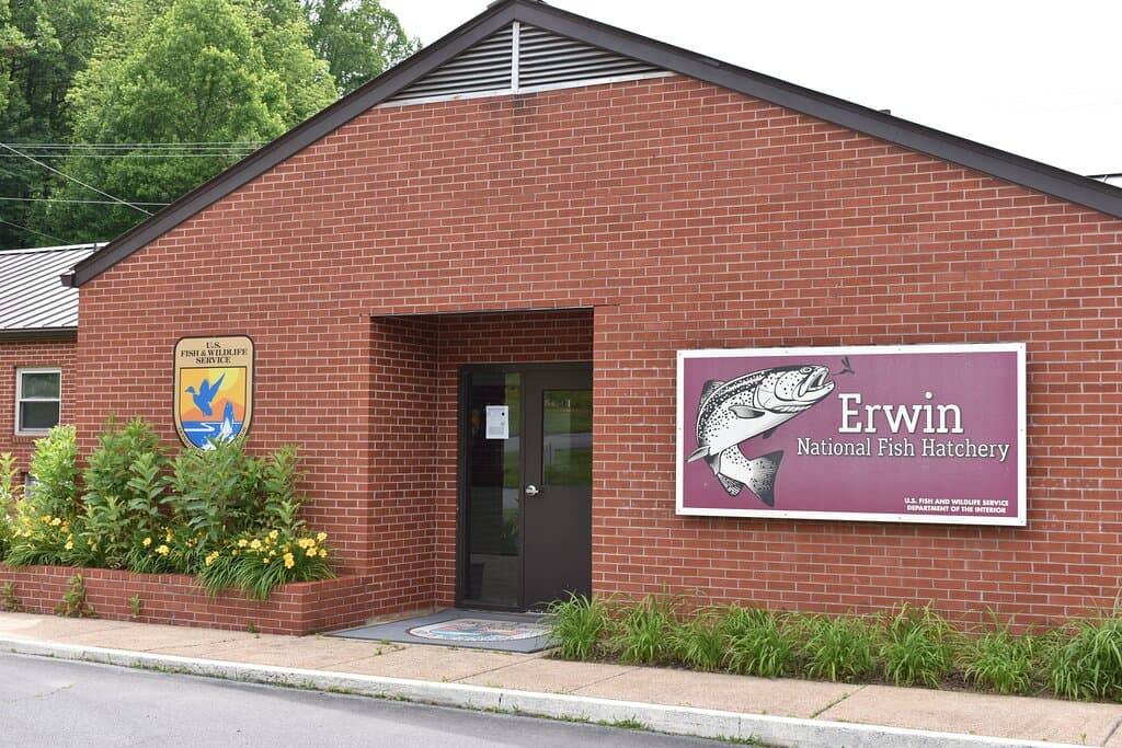 Erwin National Fish Hatchery in Erwin, Tennessee