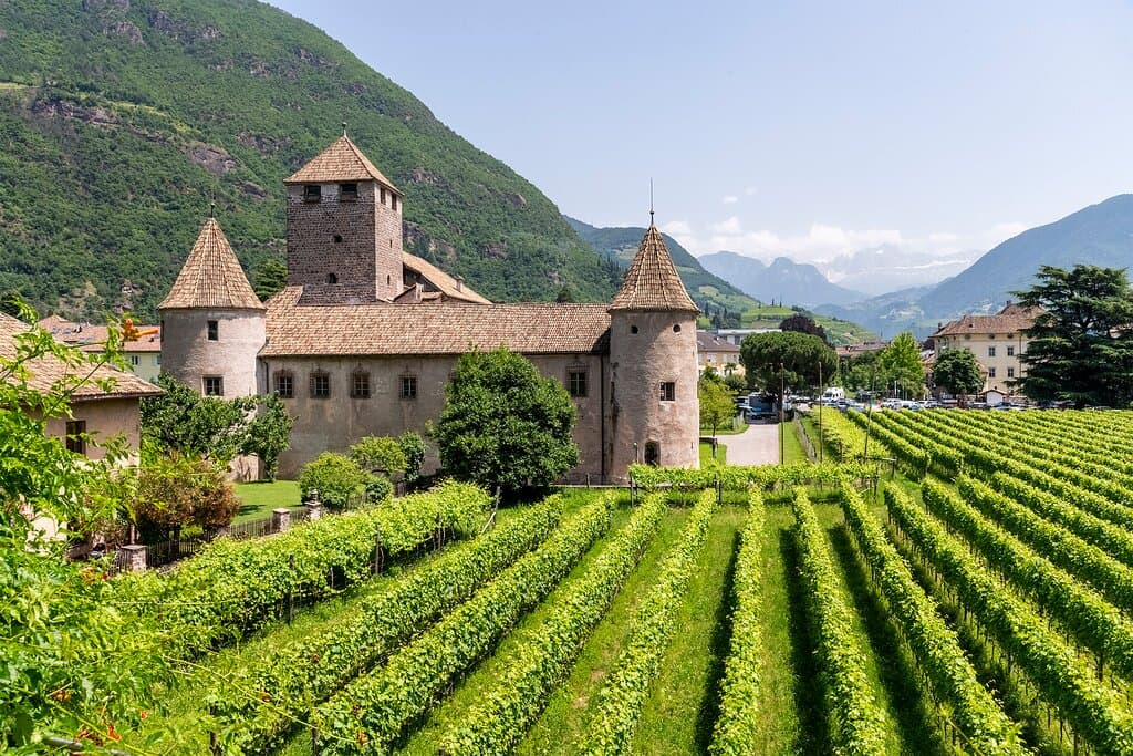 Castel Mareccio, immerso nei vigneti, è la location ideale per ogni tipo di evento.   Schloss Maretsch, nur wenige Gehminuten von der Altstadt entfernt und umgeben von Weinreben, ist die ideale Location für Ihr Event.