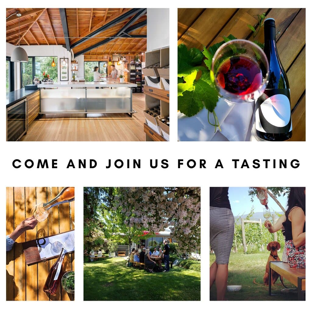 Wine tastings inside the renovated Farmhouse or outside in the Garden area. Both offer beautiful views of the vineyard.