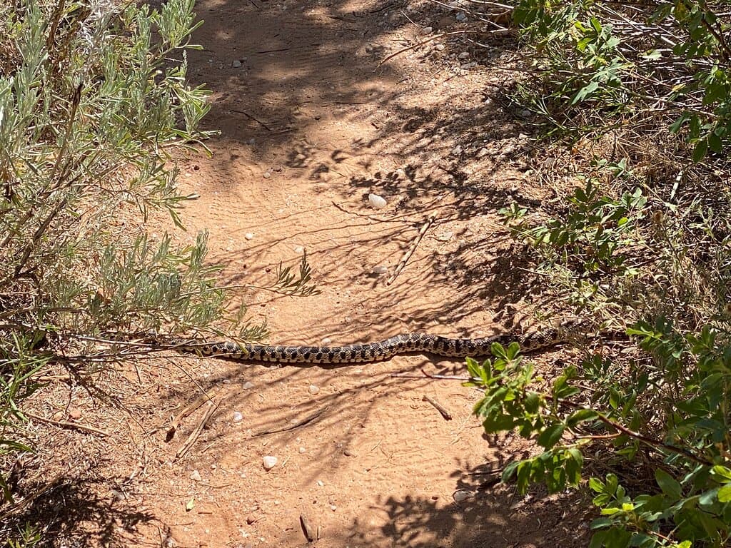 Bangs Canyon Recreation Area