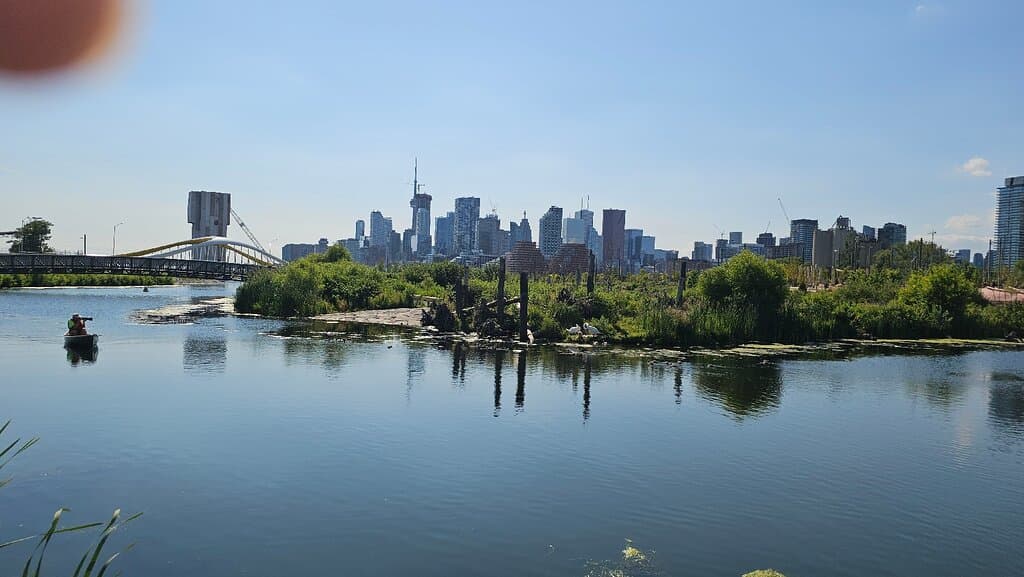 Visit Biidaasige Park