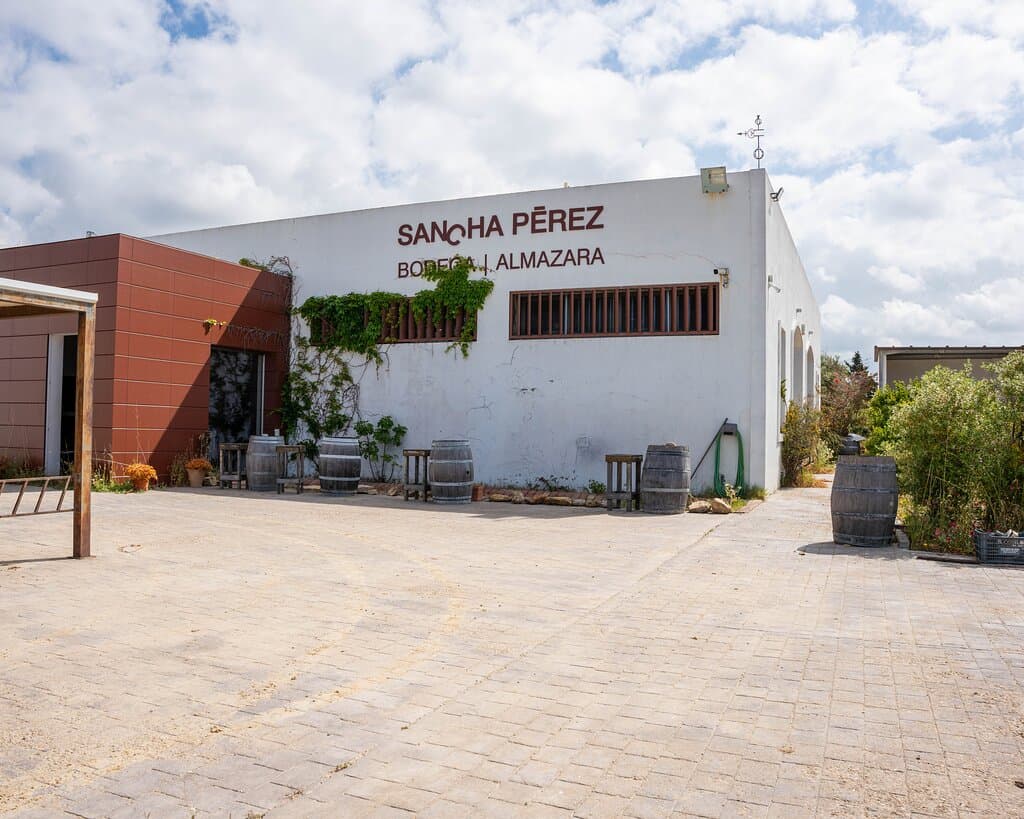 Bodega y almazara Sancha Pérez