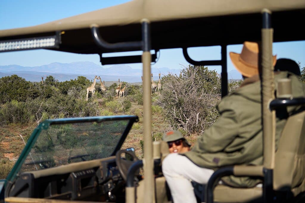 Activity | Bush Safari