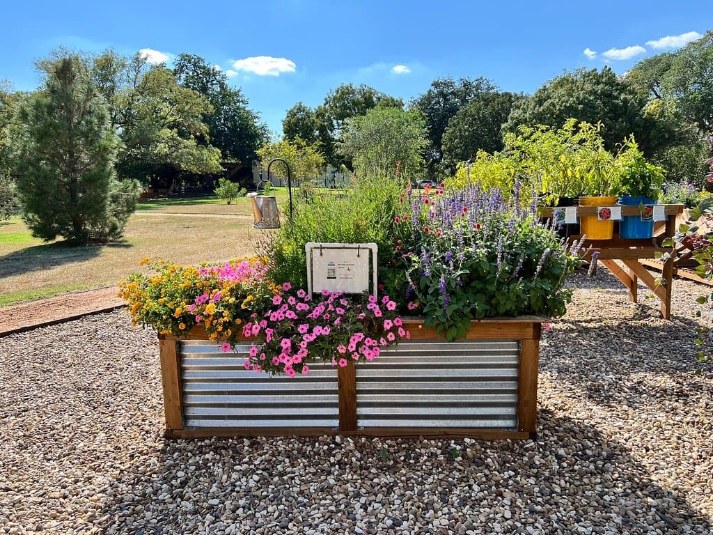 The Arboretum in October 2024.