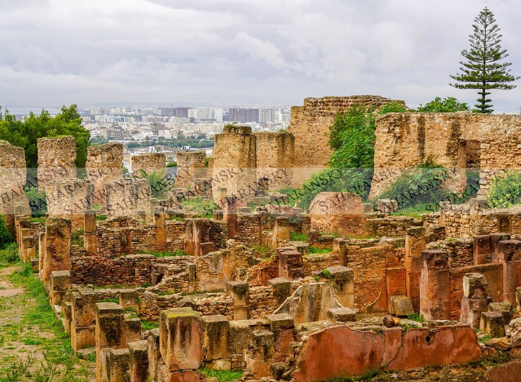 book carthage tours on www.saharansky.com