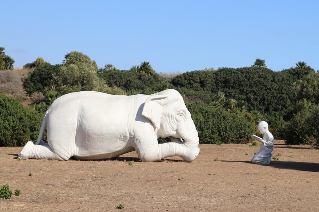 3.  "Danger of Extinction" Selinunte Archaeological Park, Selinunte, Sicily (September 2025)  