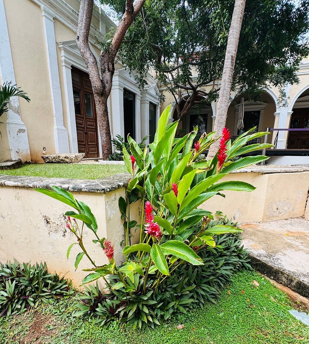 Centro Histórico Mérida