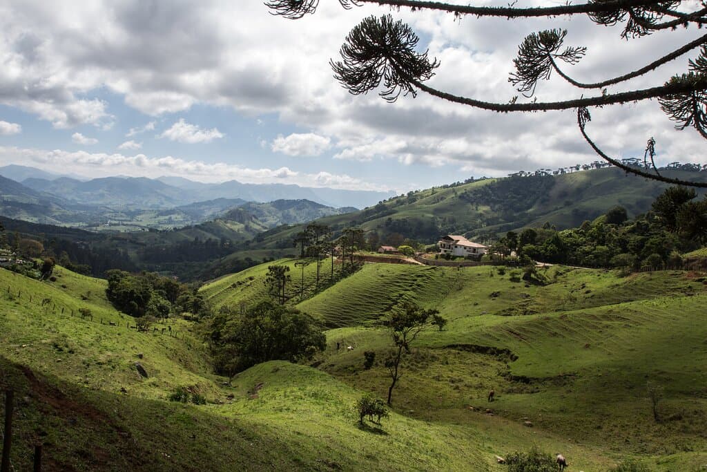 Vistas do Belvedere. 