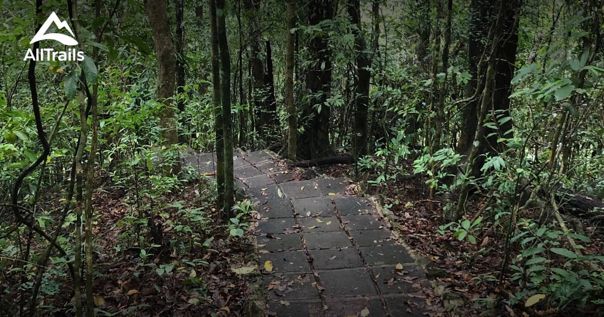 Jungle Hiking Trails
