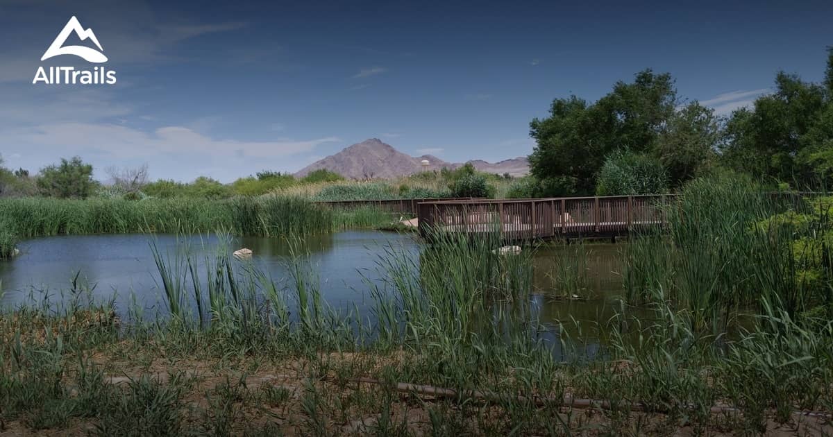 Birdwatcher's Paradise