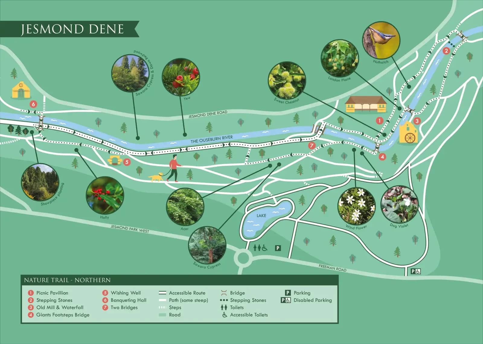 Woodland Trails