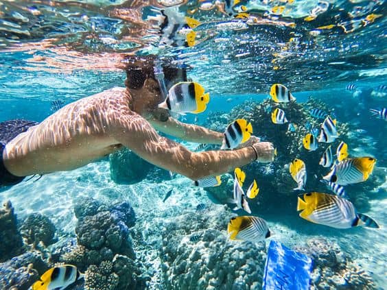 Vibrant Coral Reefs
