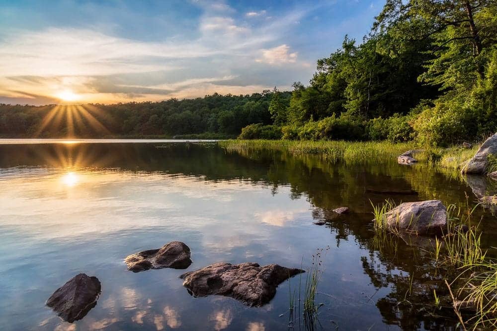 Scenic Lakeside Photography