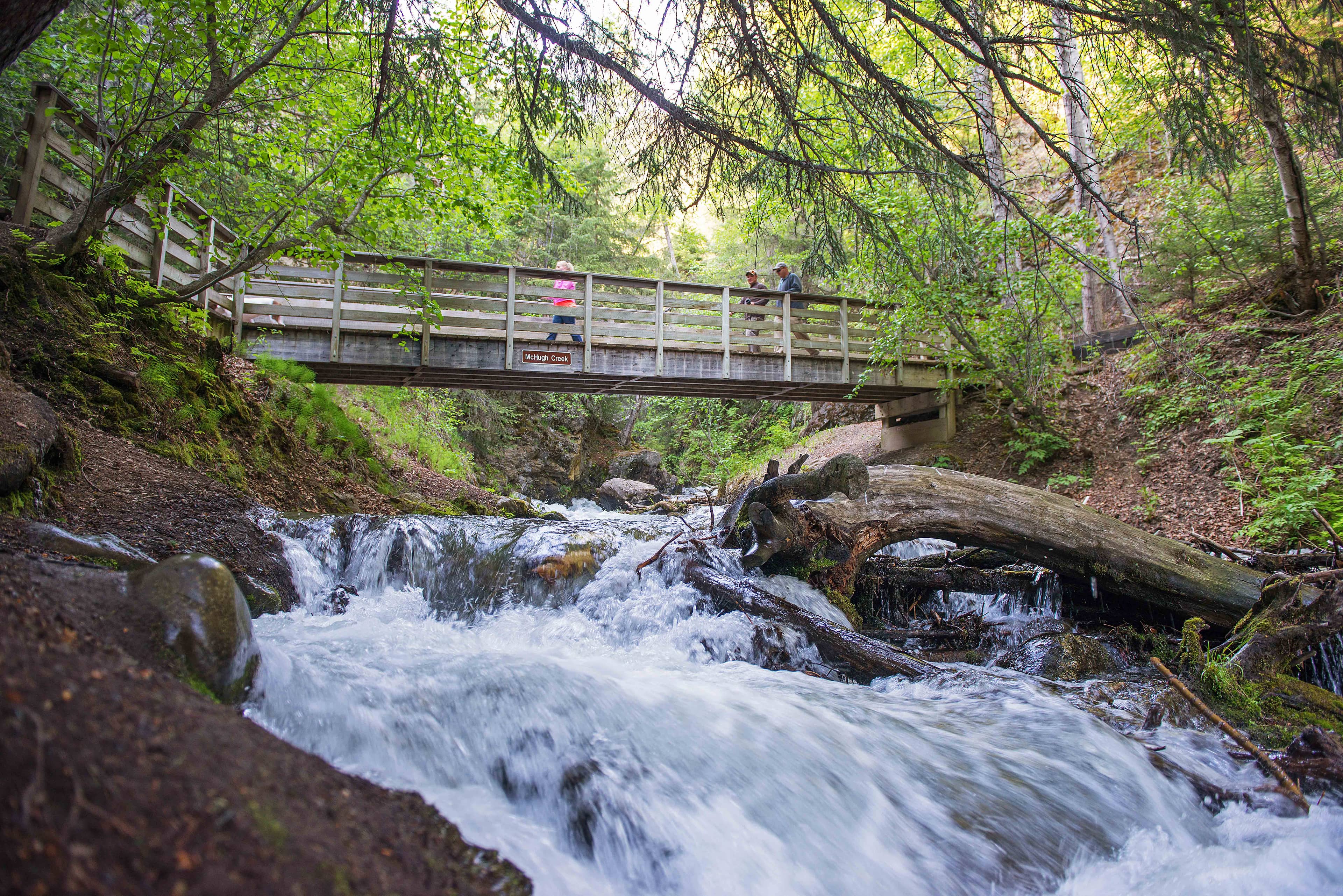 Diverse Hiking Trails